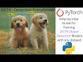 How to Train DETR Object Detection Models with Any Dataset