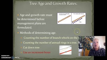 Forest Measurements - Tree age and Basal area