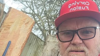 Live Chainsaw ripping cedar bark off #2