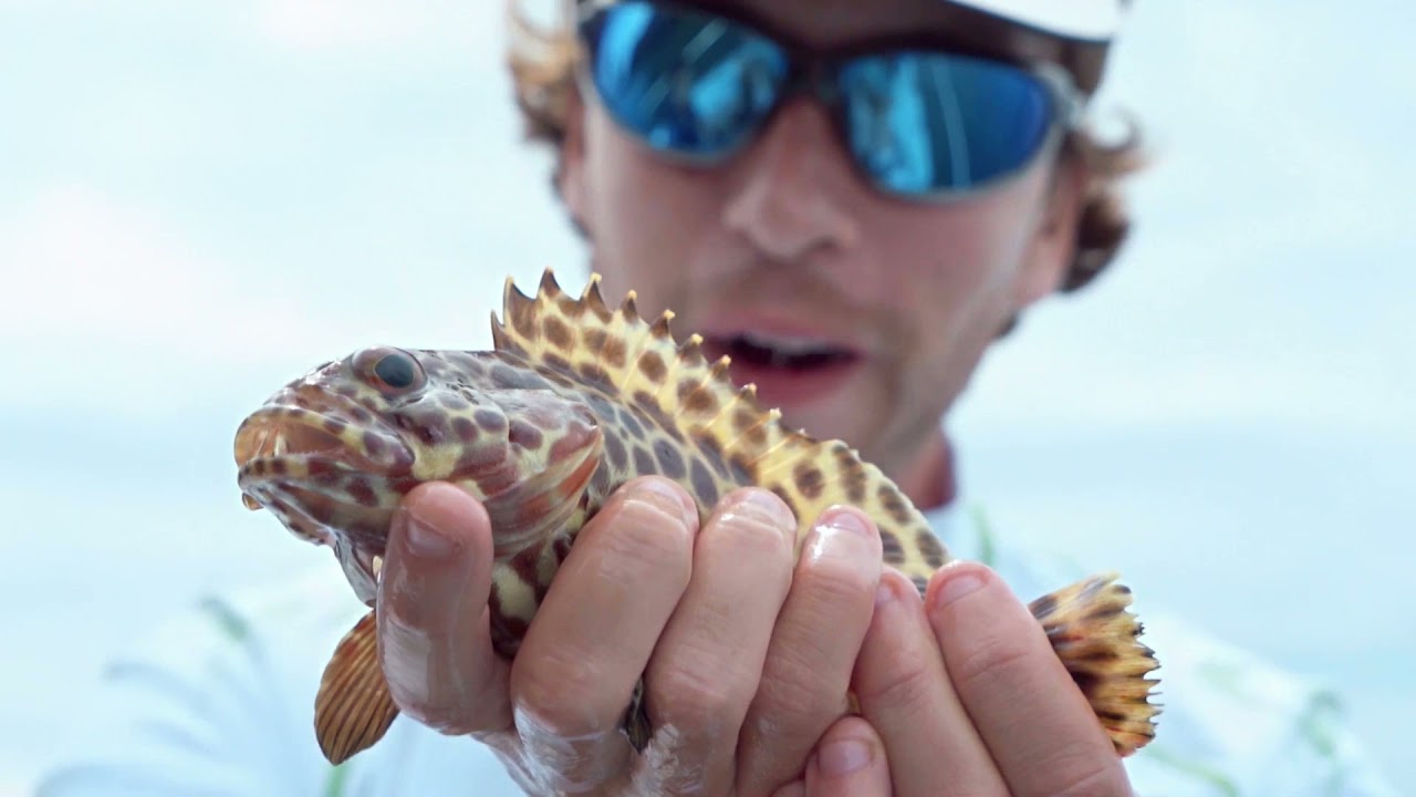 PowerVision PowerSeeker