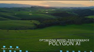 Polygon AI model performance optimization