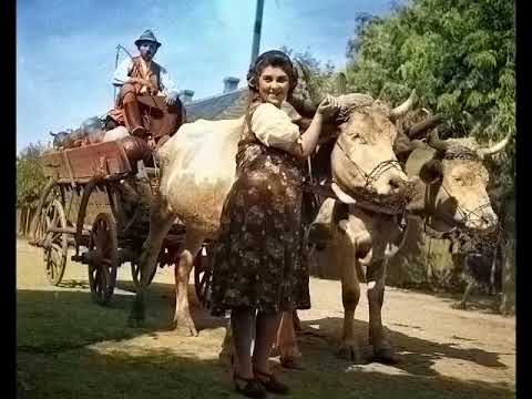 Szép asszonynak kurizálok - Joker Együttes