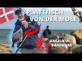 Plattfischangeln an der Ostsee in Dänemark - so fängst du Scholle, Kliesche und Flunder von der Mole