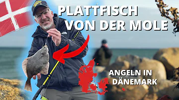 Wo fängt man gute Plattfische?