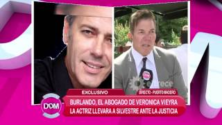 Móvil con Fernando Burlando, abogado de Verónica Vieyra ex de Silvestre