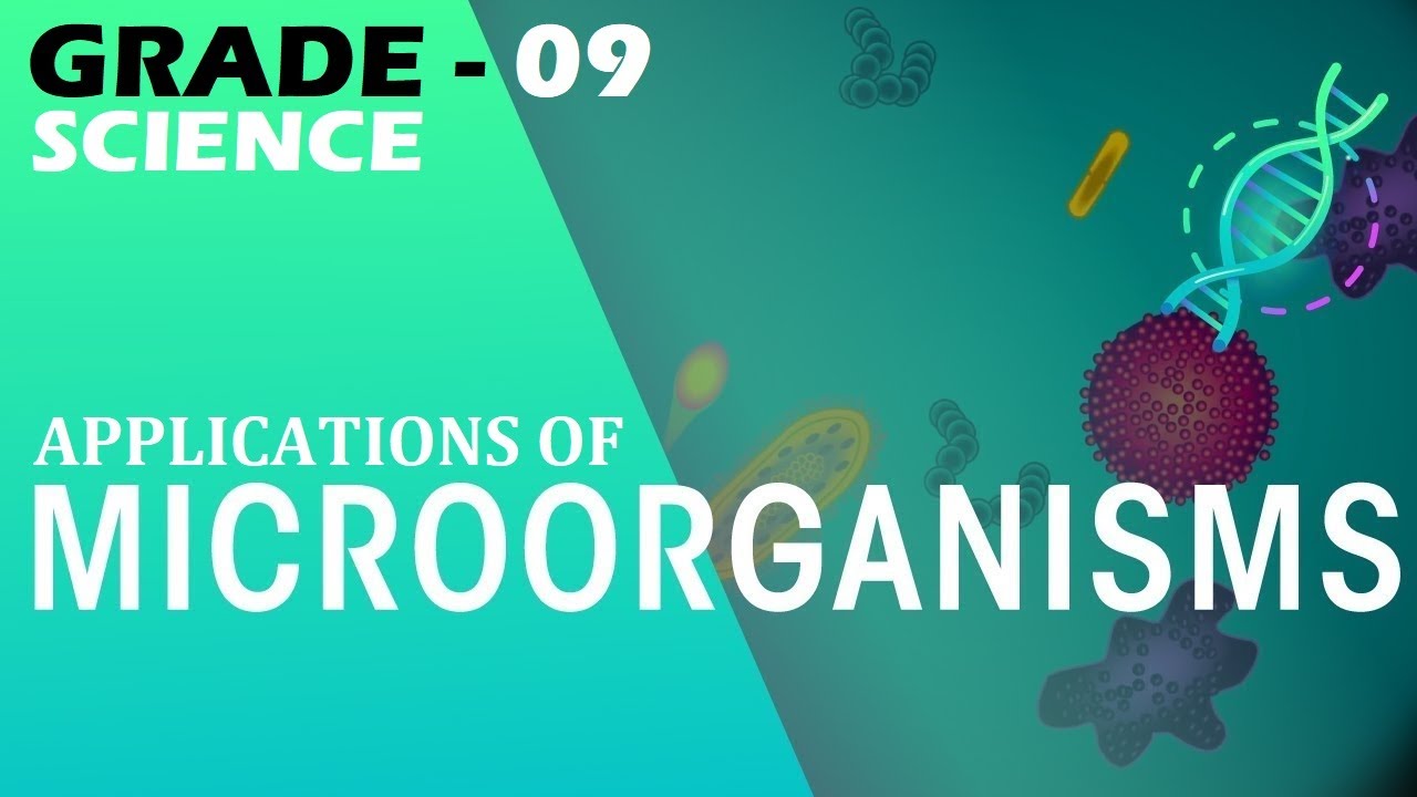 Grade 09 Applications of YouTube