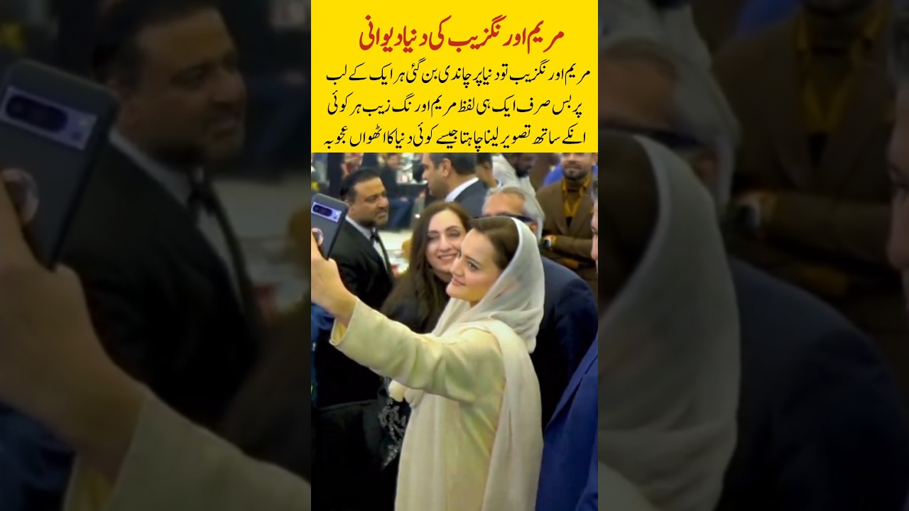 Junaid Safdar's wedding 