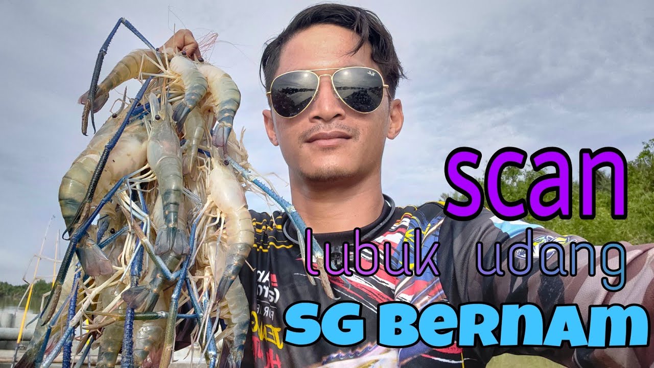 Memancing udang galah di sg bernam..( Pertama kali Scan Lubuk Udang Galah Sg Bernam)