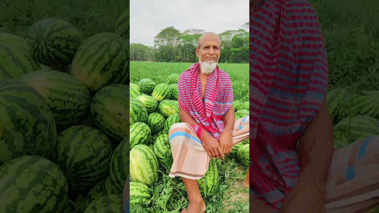 4-lakh-20-thousand-sold-watermelons-at-a-cost-of-40-thousand-reels