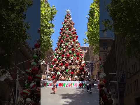 Christmas Tree in Sydney - #shorts #viral #youtubeshorts #trending #christmastree #sydney #australia