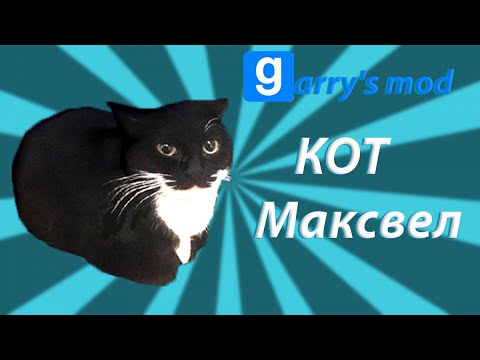 Как выглядит кот максвелл