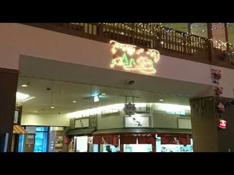 [everysing] 北酒場