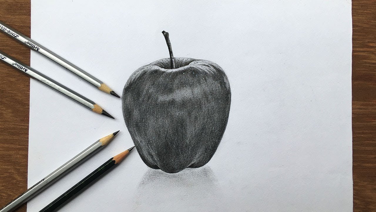 How to Draw an Apple in Pencil How to do Pencil Shading Step by