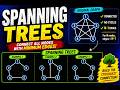 spanning tree introduction