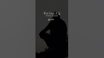 #صوت_جميل_رائع #قران_كريم #راحة_نفسية #المصحف #quranreaction #القارئ_طارق_محمد #سورة_طه