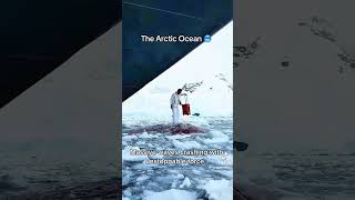 Ever wonder what life in the ocean like?