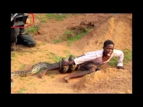 Giant Snakes attacks Humans [Wildlife Documentary 2016]