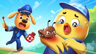 Don't Play With Ants +More | Sheriff Labrador Collection | Kids Cartoon | BabyBus TV