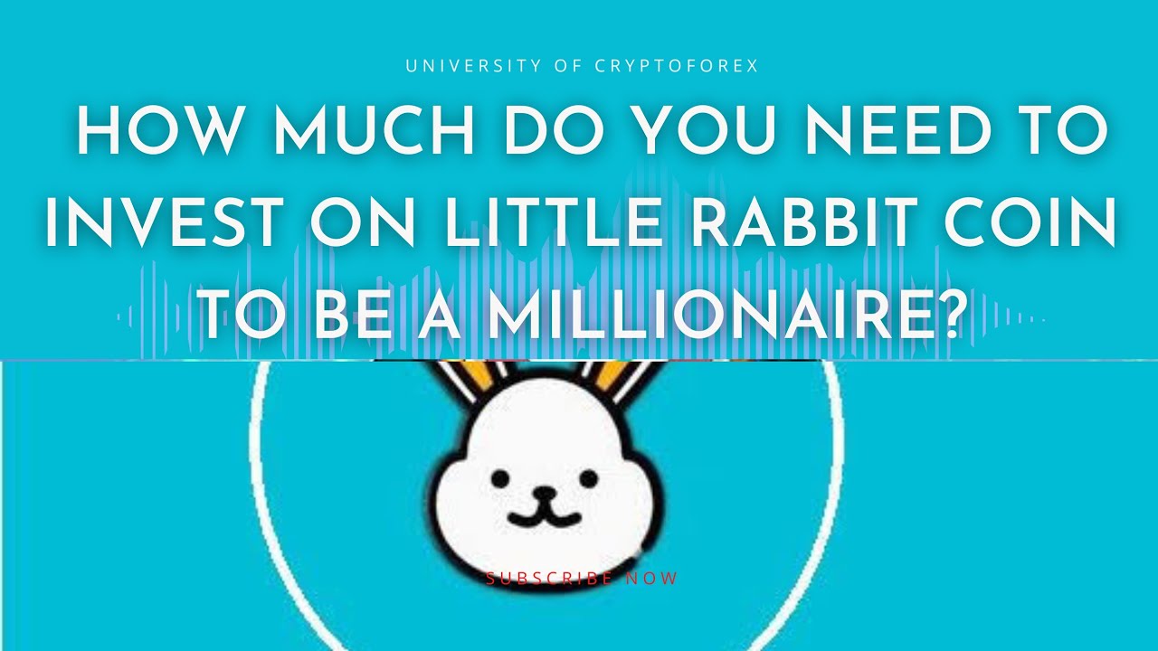 How much do you need to invest on Little Rabbit Coin to be a ...