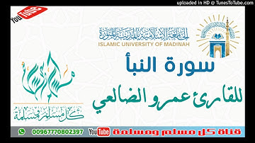 سورة النبأ-للقارئ عمرو الضالعي