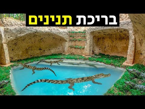 וִידֵאוֹ: 10 הופעות שהובילו לטרגדיה בחיים האמיתיים