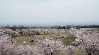 160409第12旅団創立15周年