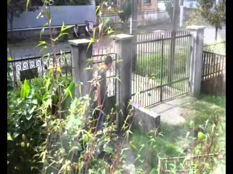 რაინდული ზომა 1