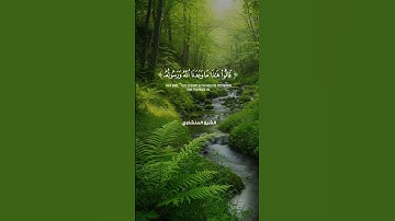 تلاوة قصيرة تهدي القلب: "هَذَا مَا وَعَدَنَا اللَّهُ وَرَسُولُهُ" | المنشاوي #قران_كريم