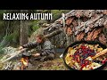 Relaxing autumn campingfishing berries mushrooms  bushcraft shelters