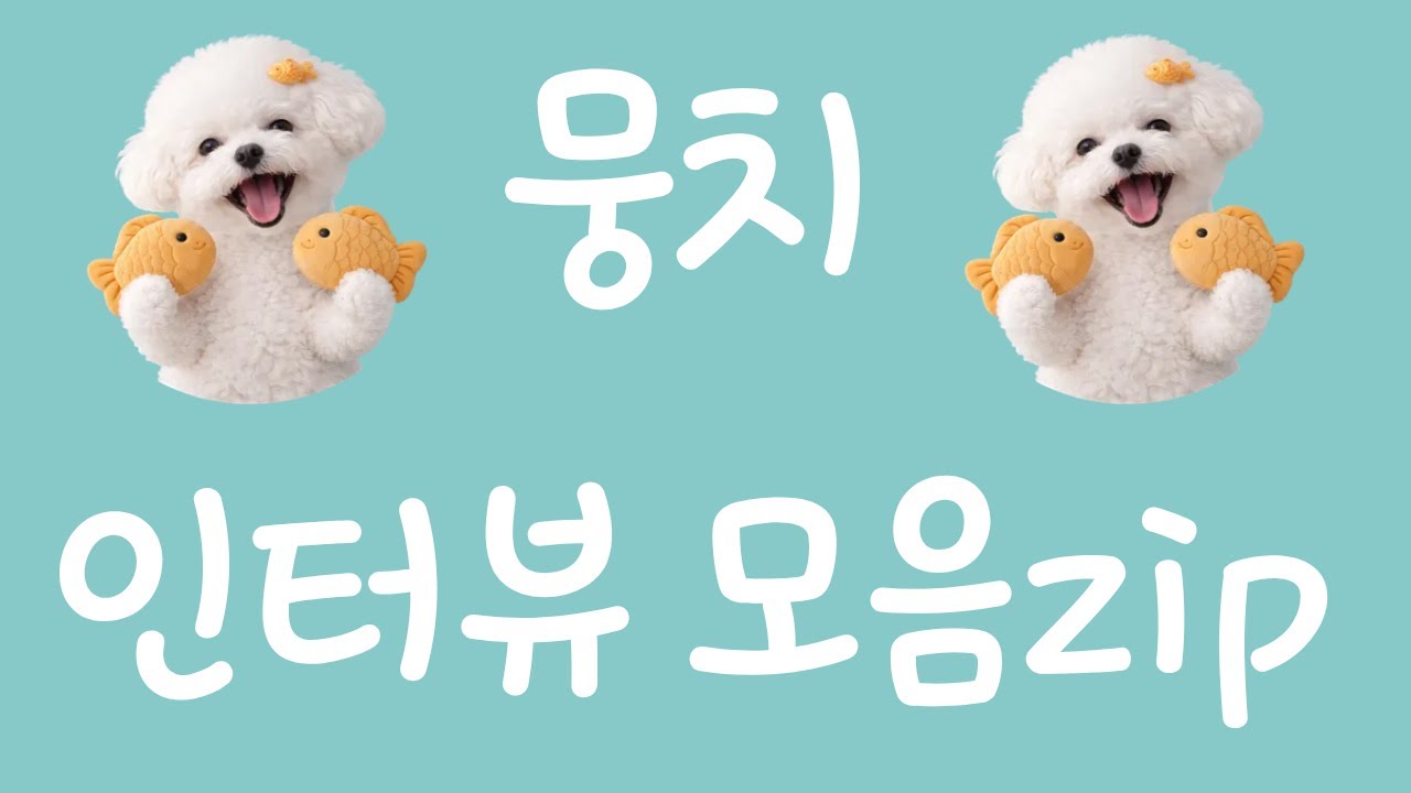 뭉치 인터뷰 모음zip