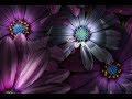 CREATIVE FLOWER PHOTOGRAPHY - Spotlighting Flowers In Lightroom