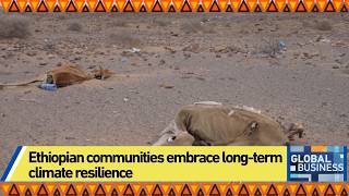 Ethiopian communities embrace long-term climate resilience