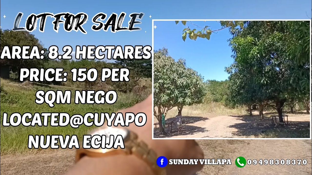 V87 8.2 HECTARES, LOT FOR SALE, PRICE 150 PER SQM NEGO, LOCATION