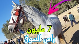 اليوم دخل عود اللهم بارك راس سوق عطاوه فيه 5   و نص فسوق