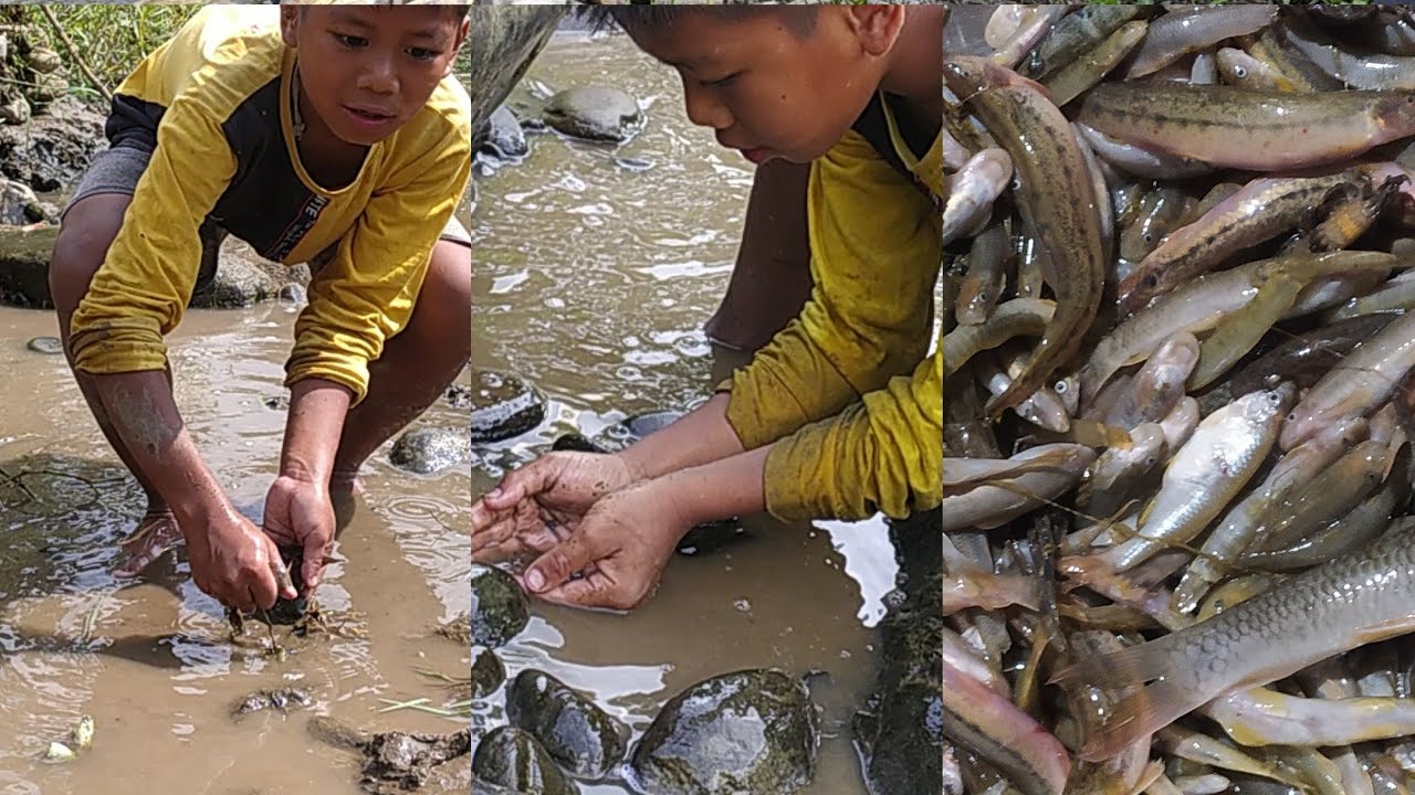 KUKILAND Ngamat dan jat khat(Halka lhei)💙🦀🦞🦐🐟🐠😊Samuel toh Tukum kangamat nahon Anomme atam ea😁😜❤😀🌿🌳