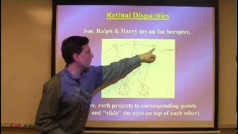 Monocular and Binocular Depth Lecture By Nestor Matthews
