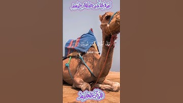 🌿القرآن الكريم 🌿ما تيسر من سورة الغاشية •