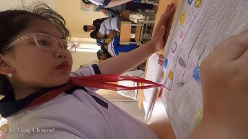 NGÀY HỘI SẮC MÀU