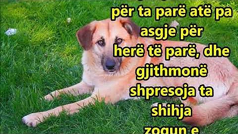 Ne Fshat e q iva Tezen time per here te pare ajo q ante