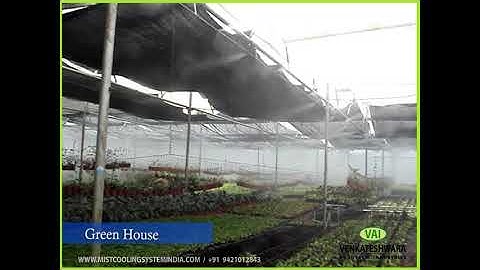 Green House Fogging System | Greenhouse Fogging And Propogation Misting System / Green House misting