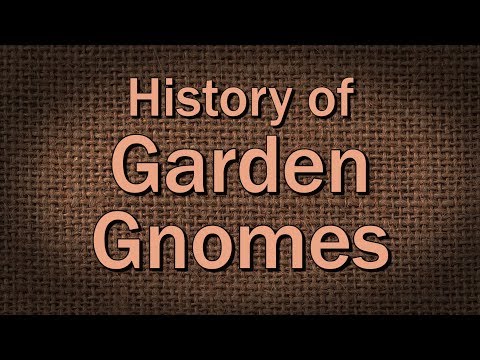 Video: Hagegnominformasjon - Lær om historien til hagegnomer