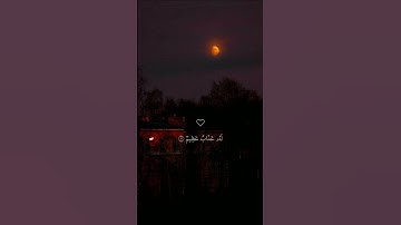 تلاوة خاشعة جميلة بصوت ماهر المعيقلي ارح سمعك ♡  #ماهر_المعيقلي