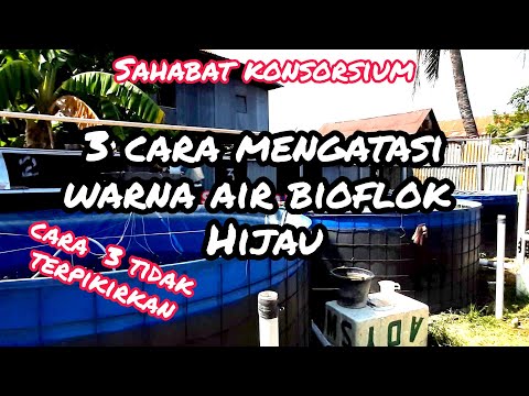 Video: Musim Semi Kosong Dari Coklat Kemerah-merahan