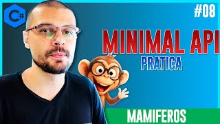 Minimal API C# .NET: Guia de Introdução e Primeiros Passos para Backend.