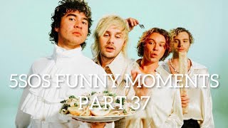 5SOS Funny Moments Part 37
