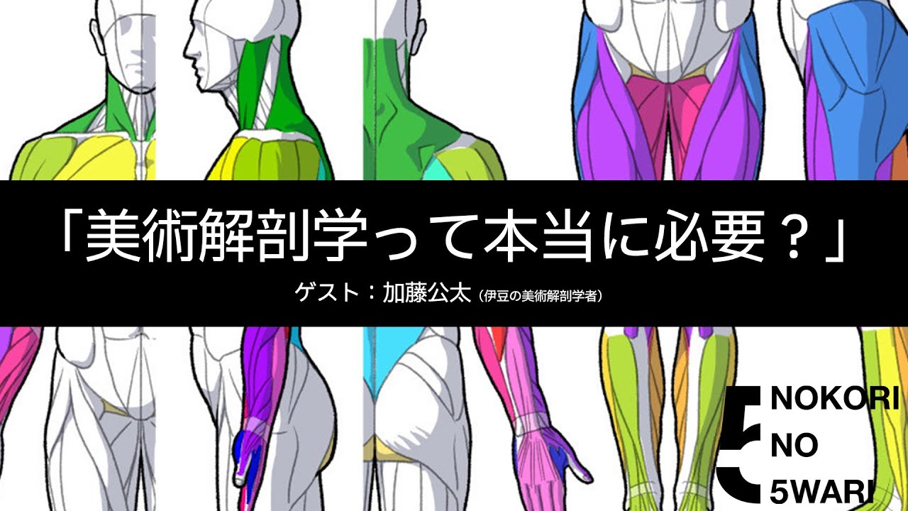 「美術解剖学って本当に必要?」ゲスト:加藤公太(伊豆の美術解剖学者)