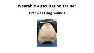 Wearable Auscultation Video- Crackles Lung Sounds