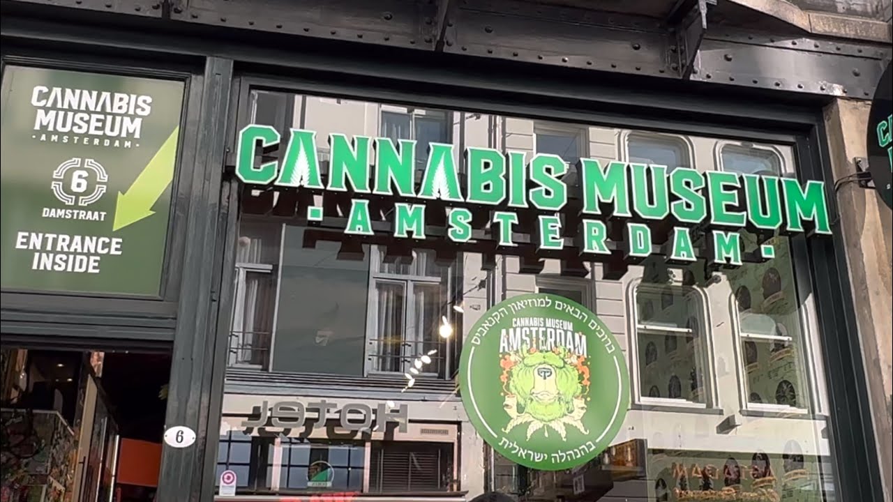 CANNABIS (MARIJUANA) MUSEUM and Store in Amsterdam CBD YouTube