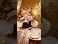 Yellow Cat eat Cake AI#asmr #satisfying #oddly #cute#AI ART
