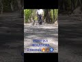 Гигант щенок . Шикарная мощная супер красавица ☀️🔥